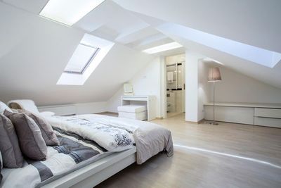 Modern Loft Extension